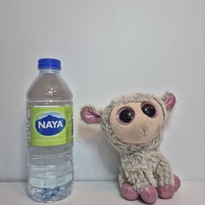 TY BEANIE BOOS "DIXIE"